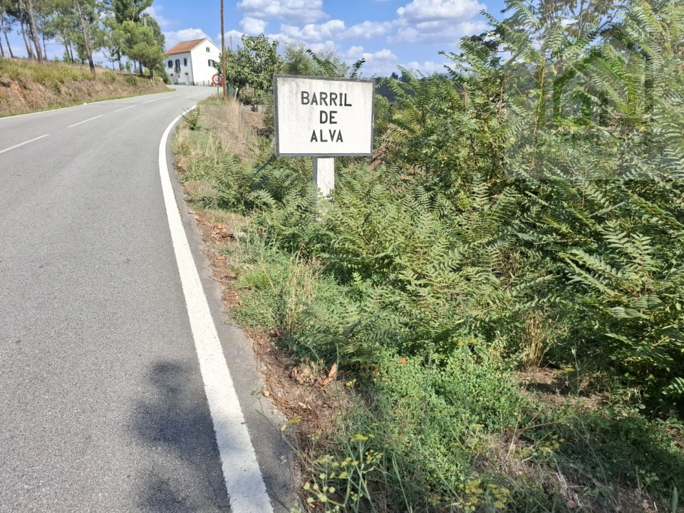 Moradia T2 para Venda em Côja e Barril de Alva Foto 9