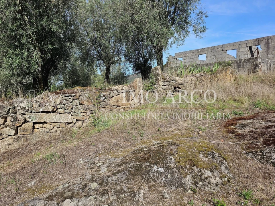 Moradia para Venda em Rio Douro Foto 4