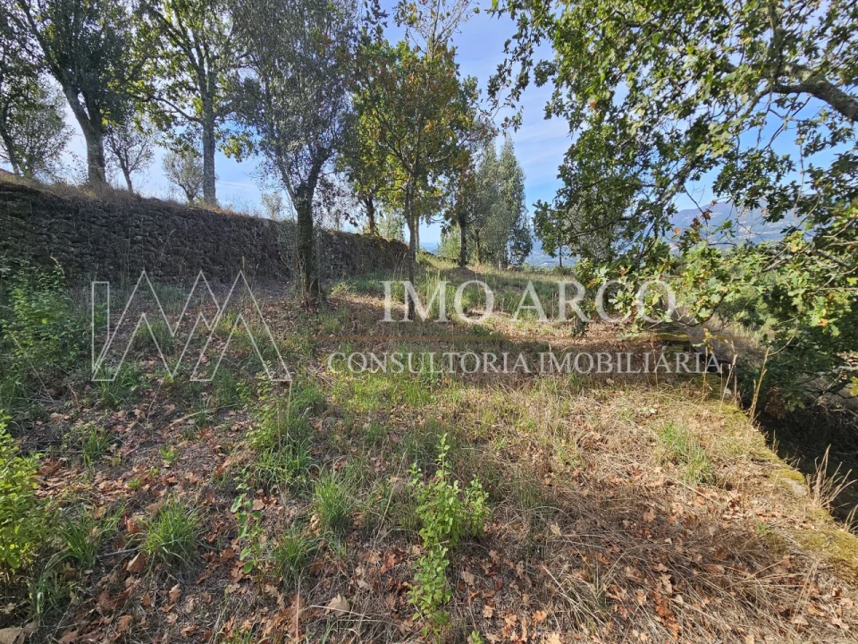 Moradia para Venda em Rio Douro Foto 9