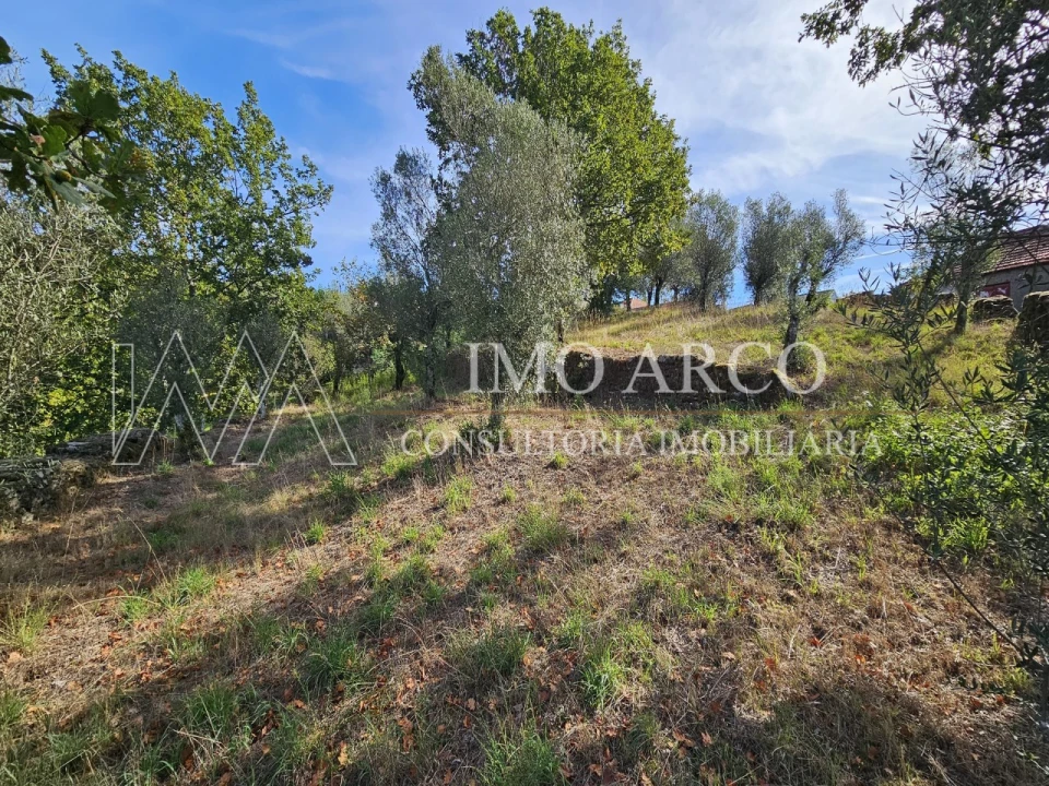 Moradia para Venda em Rio Douro Foto 10