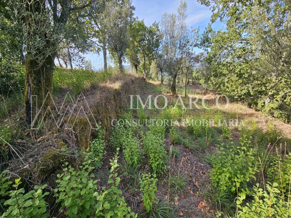 Moradia para Venda em Rio Douro Foto 11