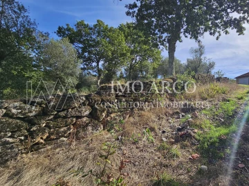 Moradia para Venda em Rio Douro