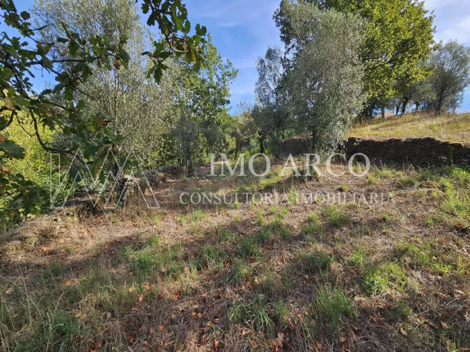 Moradia para Venda em Rio Douro Foto 7