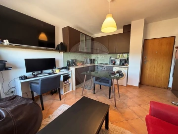 Apartamento T1 para Arrendamento em Ovar, São João, Arada e São Vicente de Pereira Jusã