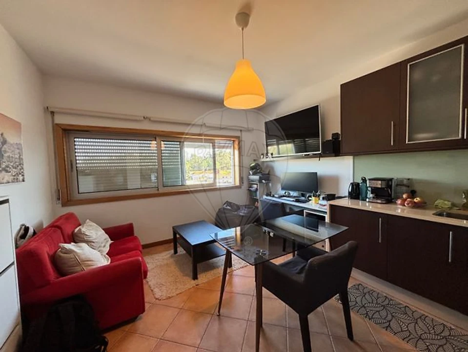 Apartamento T1 para Arrendamento em Ovar, São João, Arada e São Vicente de Pereira Jusã Foto 5