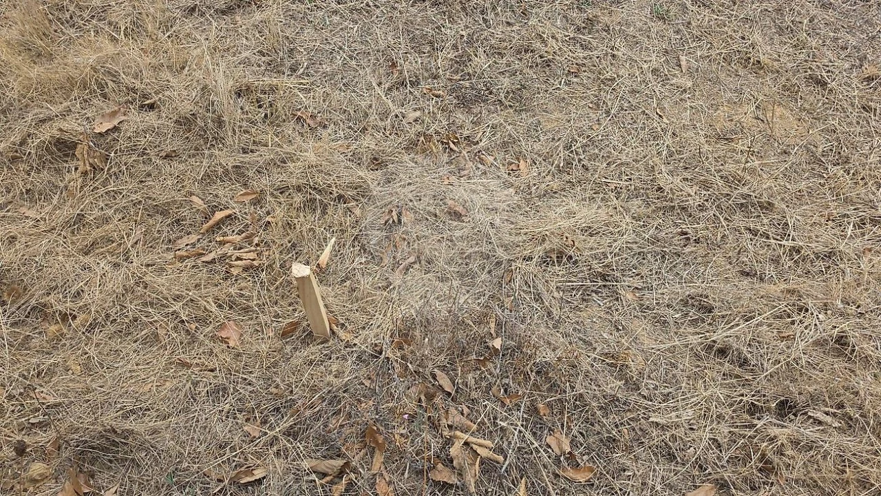 Terreno para Venda em Santo Quintino Foto 3