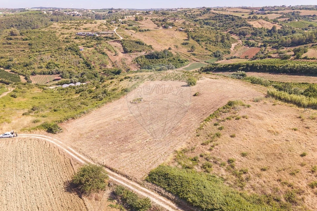 Terreno para Venda em Ribafria e Pereiro de Palhacana Foto 7