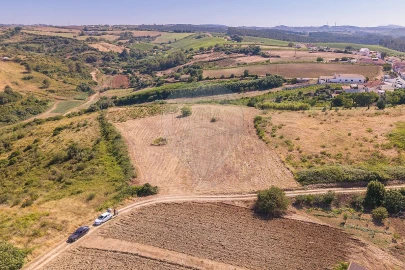 Terreno para Venda em Ribafria e Pereiro de Palhacana