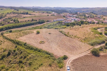 Terreno para Venda em Ribafria e Pereiro de Palhacana