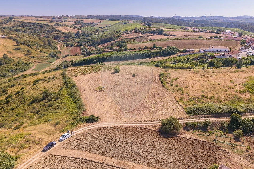 Terreno para Venda em Ribafria e Pereiro de Palhacana Foto 6