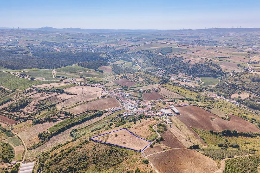 Terreno para Venda em Ribafria e Pereiro de Palhacana Foto 8