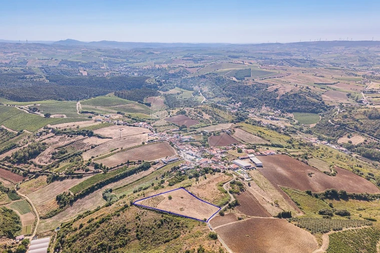 Terreno para Venda em Ribafria e Pereiro de Palhacana Foto 8