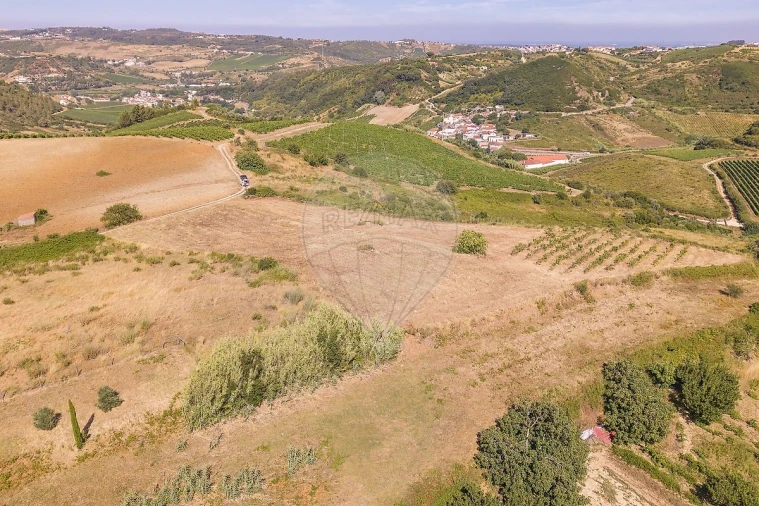 Terreno para Venda em Ribafria e Pereiro de Palhacana Foto 9