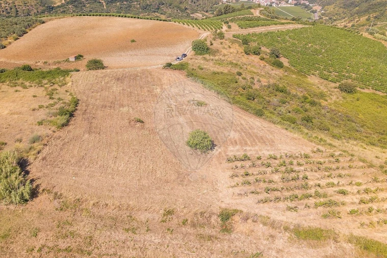 Terreno para Venda em Ribafria e Pereiro de Palhacana Foto 4