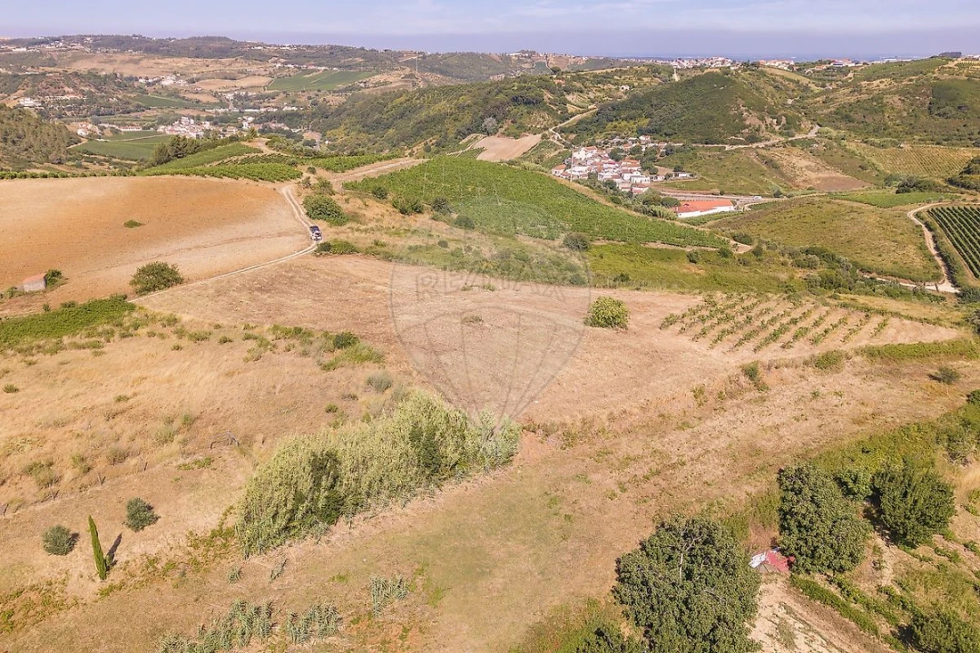 Terreno para Venda em Ribafria e Pereiro de Palhacana Foto 9