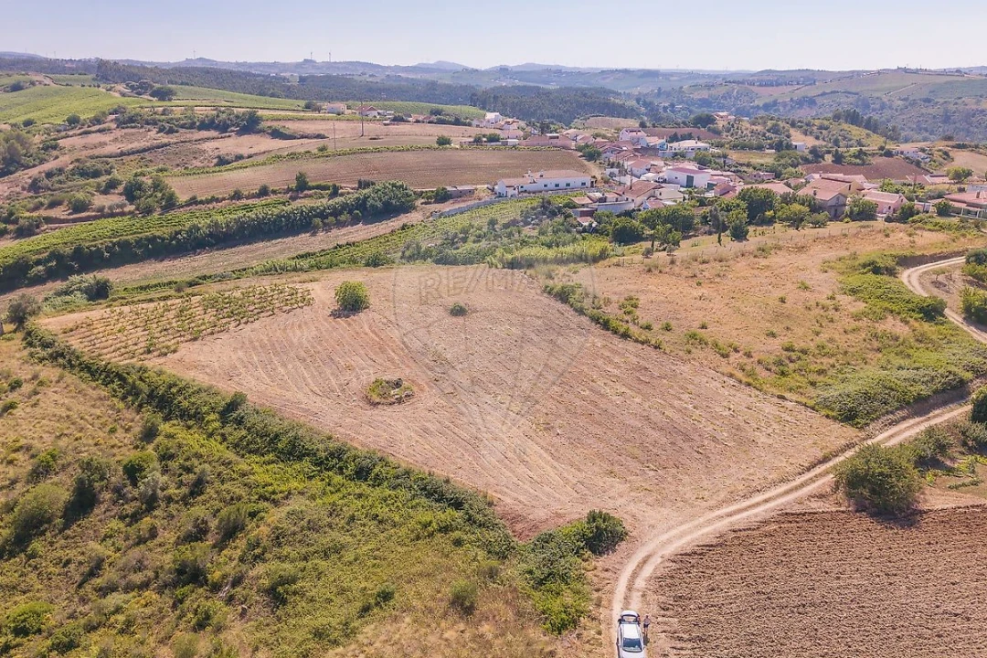 Terreno para Venda em Ribafria e Pereiro de Palhacana Foto 5