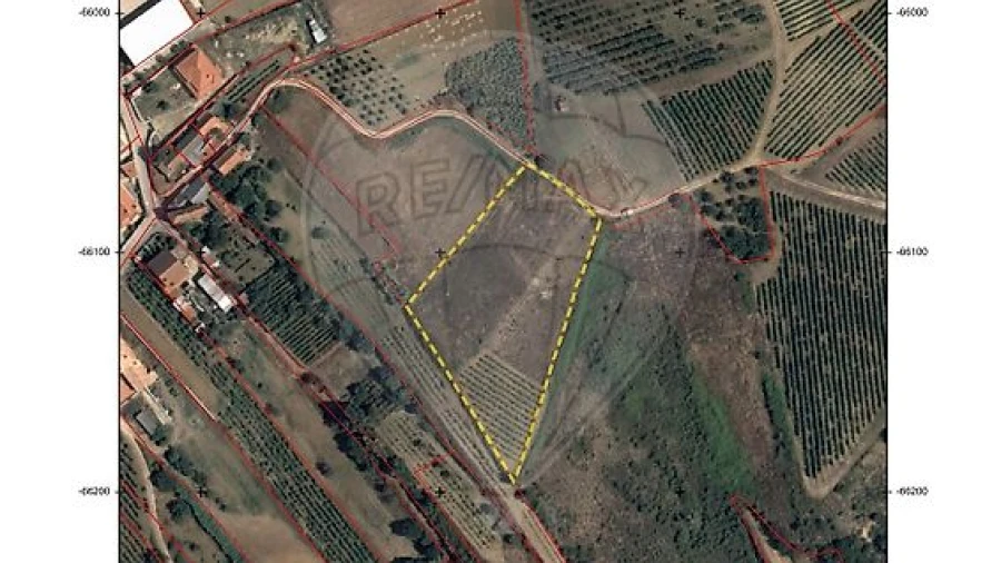 Terreno para Venda em Ribafria e Pereiro de Palhacana