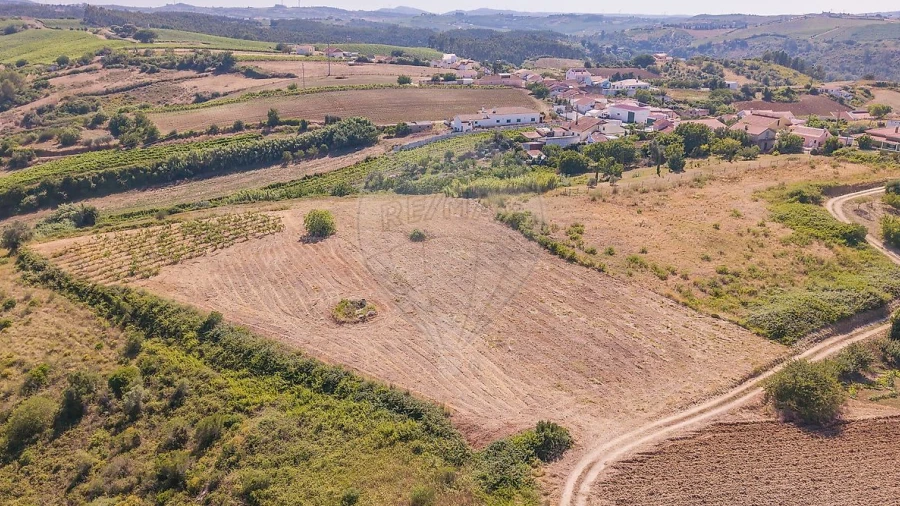 Terreno para Venda em Ribafria e Pereiro de Palhacana
