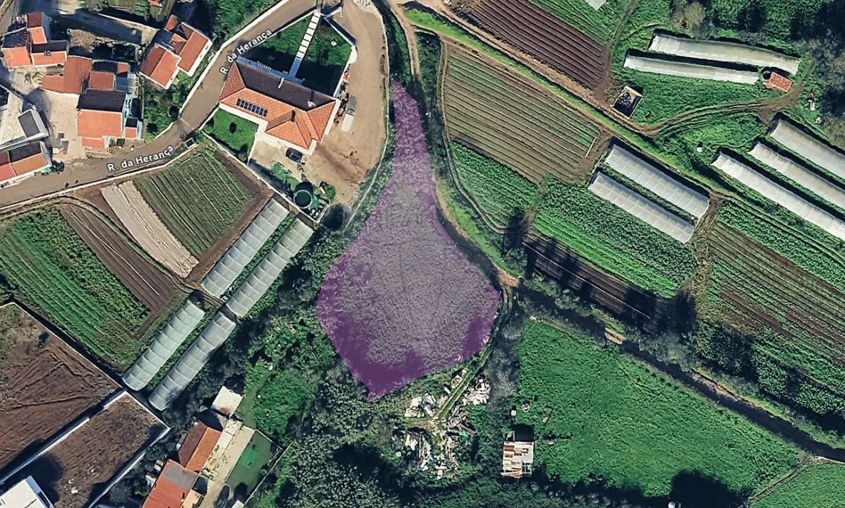 Terreno para Venda em Almargem do Bispo, Pêro Pinheiro e Montelavar Foto 1