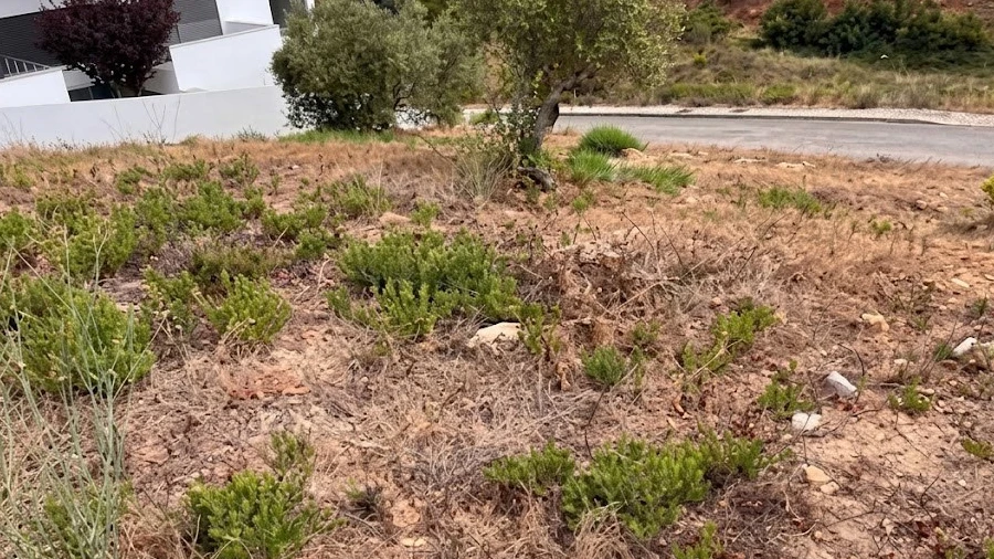 Terreno para Venda em Vila Franca de Xira