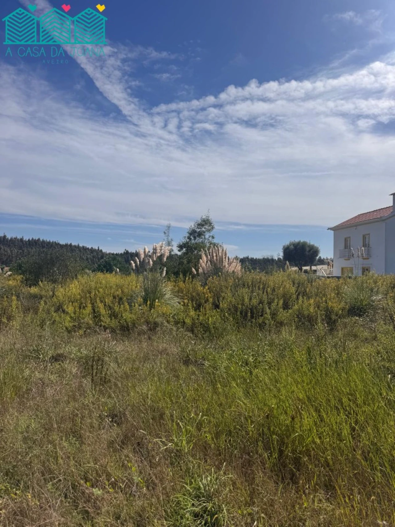 Terreno para Venda em Salreu Foto 3