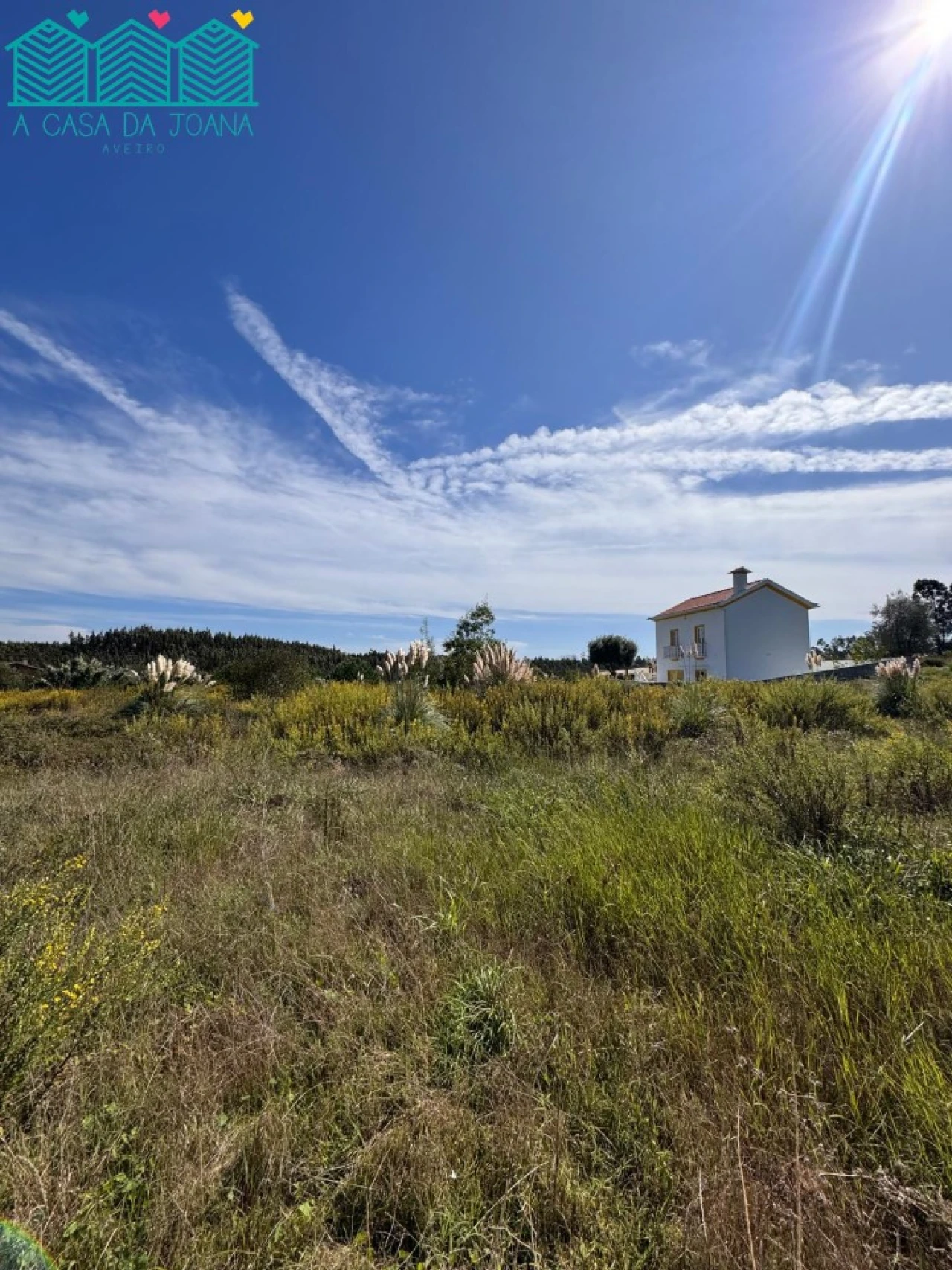 Terreno para Venda em Salreu Foto 5