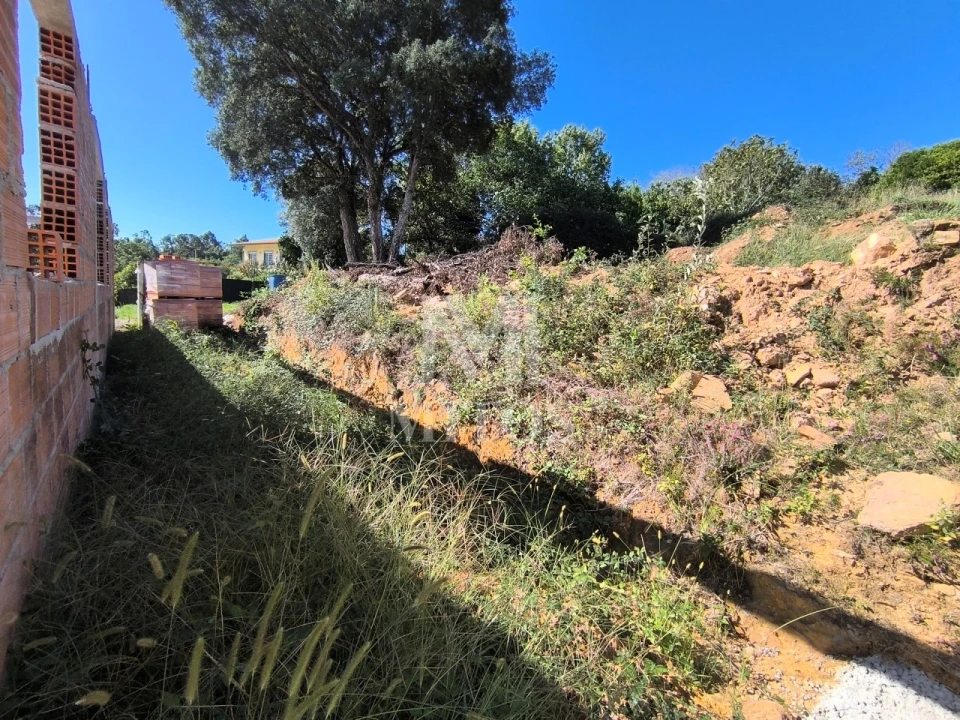 Terreno para Venda em Subportela, Deocriste e Portela Susã Foto 14