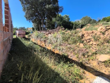 Terreno para Venda em Subportela, Deocriste e Portela Susã