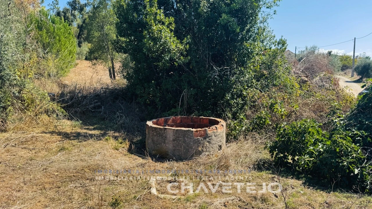 Quinta T4 para Venda em Almoster Foto 6