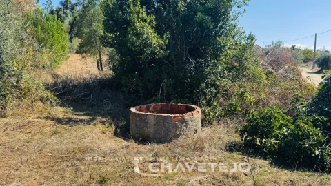 Quinta T4 para Venda em Almoster