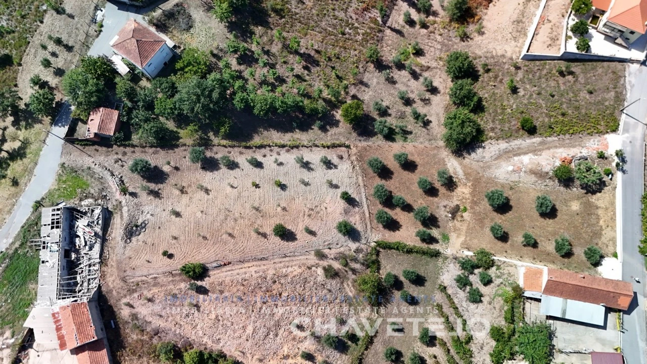 Terreno para Venda em Graça Foto 4