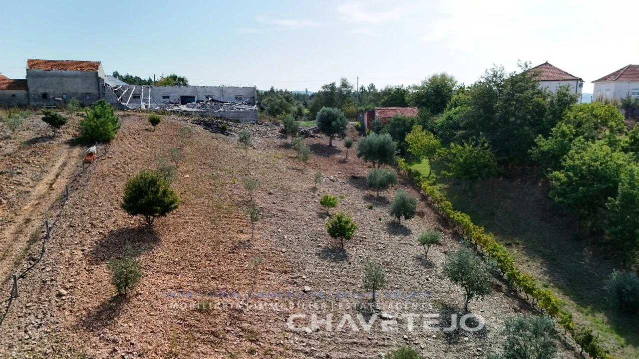 Terreno para Venda em Graça Foto 6