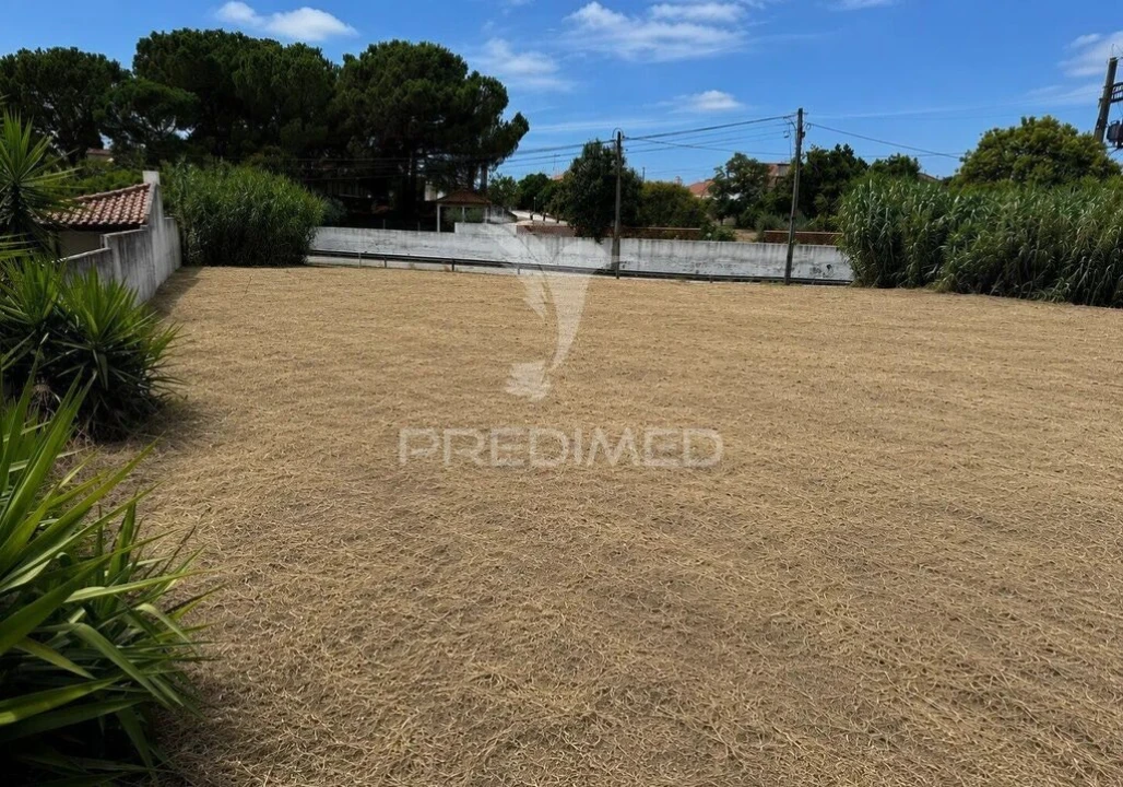 Terreno para Venda em Riachos Foto 3