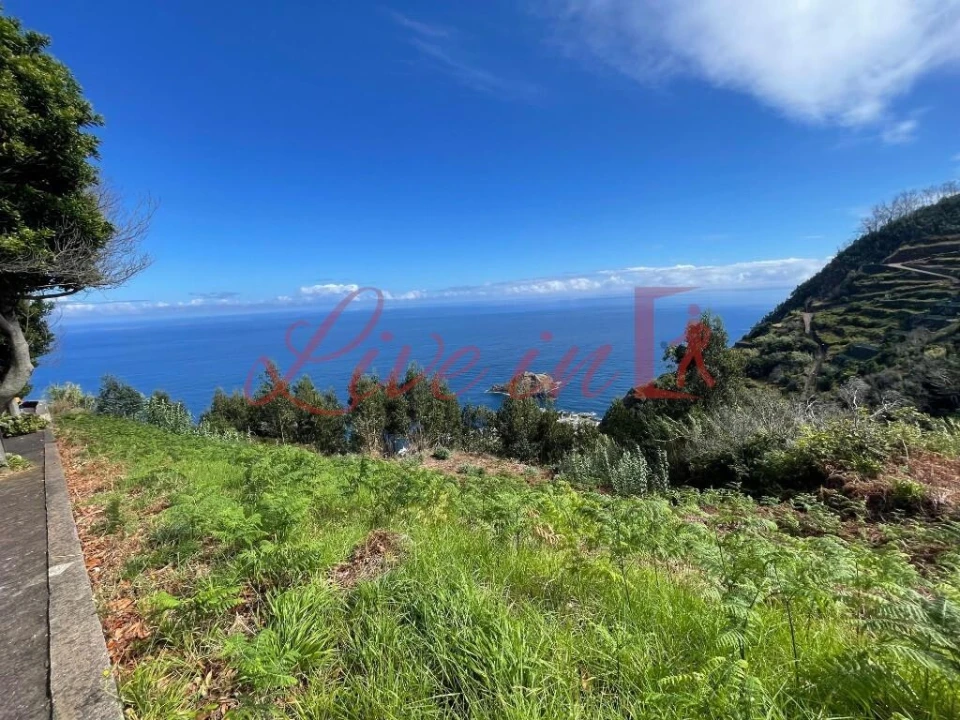 Terreno para Venda em Porto Moniz Foto 3