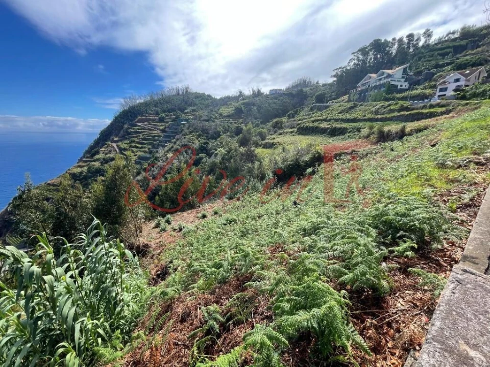 Terreno para Venda em Porto Moniz Foto 10