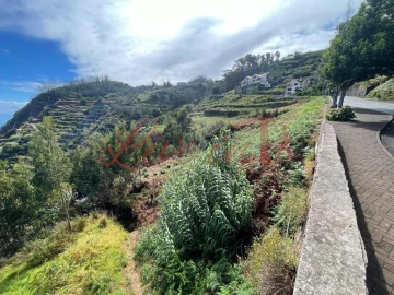 Terreno para Venda em Porto Moniz