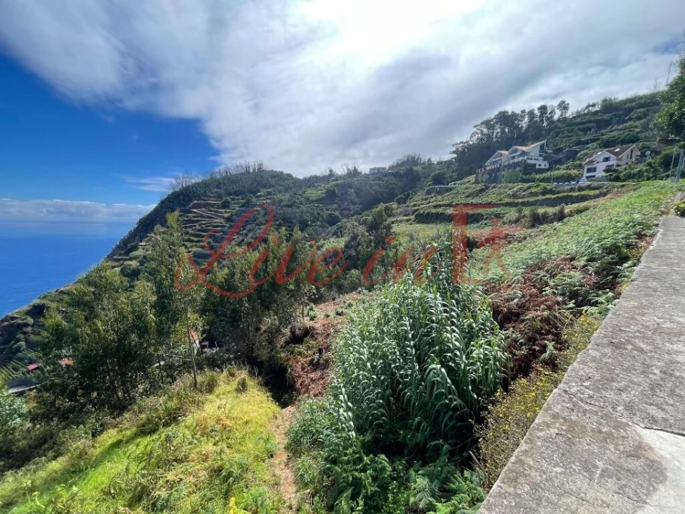 Terreno para Venda em Porto Moniz Foto 6