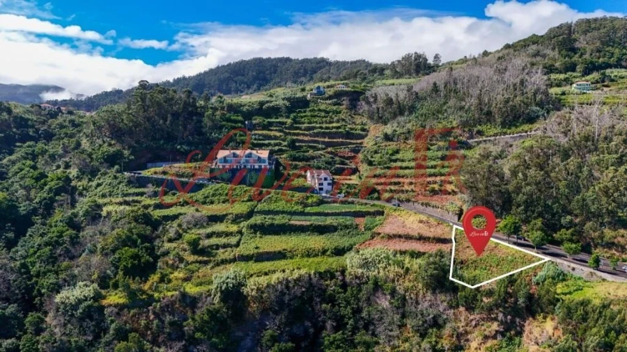 Terreno para Venda em Porto Moniz Foto 9