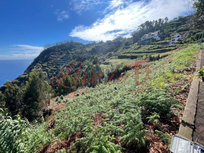 Terreno para Venda em Porto Moniz Foto 7