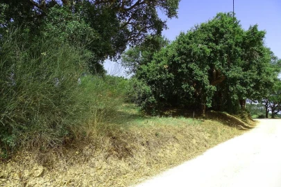 Terreno para Venda em A dos Negros