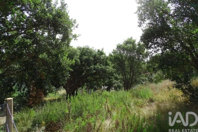 Terreno para Venda em A dos Negros