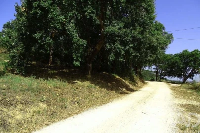 Terreno para Venda em A dos Negros