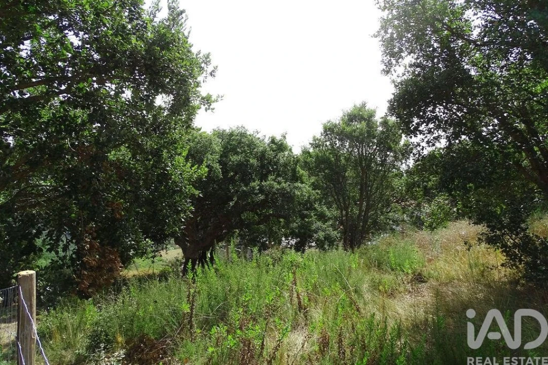 Terreno para Venda em A dos Negros Foto 1