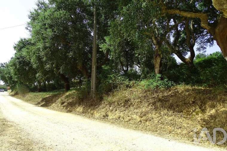 Terreno para Venda em A dos Negros Foto 8