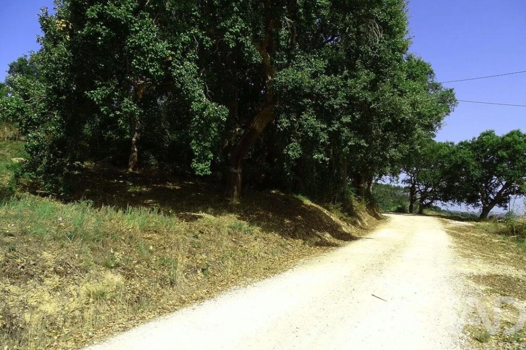 Terreno para Venda em A dos Negros Foto 7