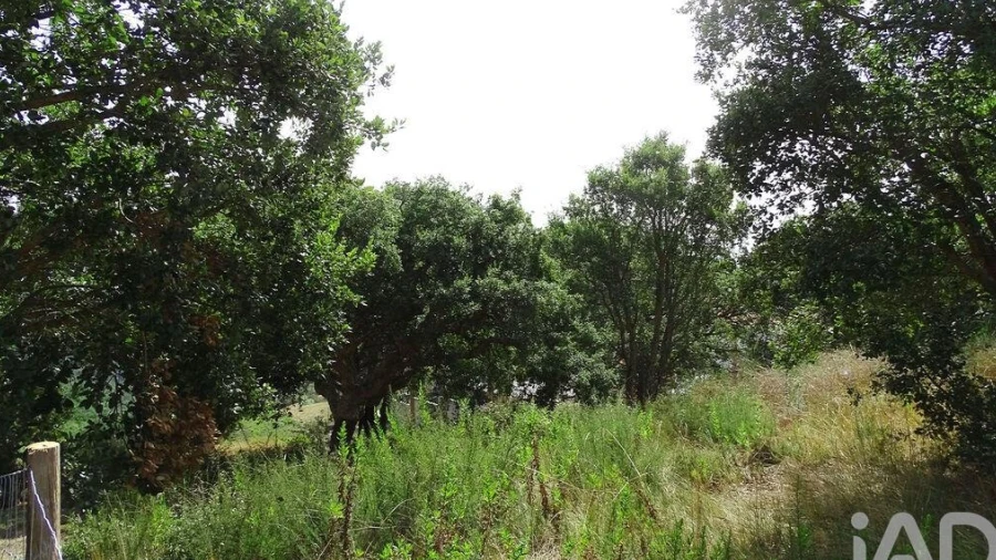 Terreno para Venda em A dos Negros