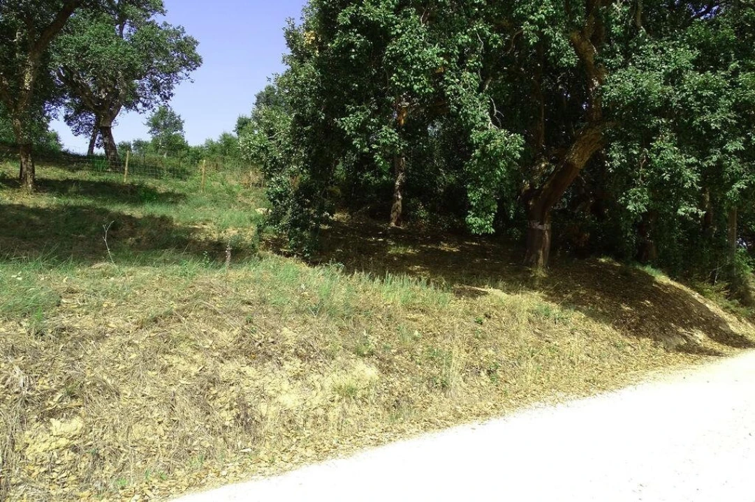 Terreno para Venda em A dos Negros Foto 2