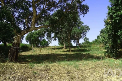 Terreno para Venda em A dos Negros