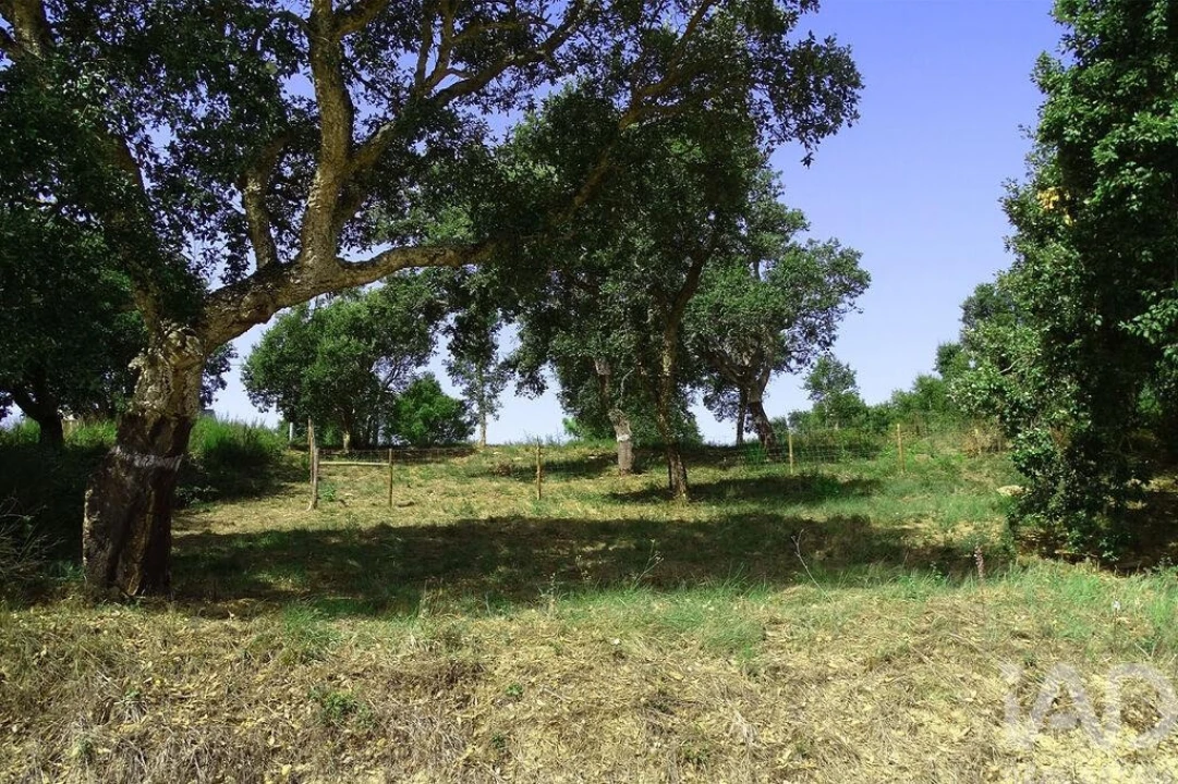Terreno para Venda em A dos Negros Foto 1