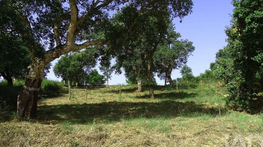 Terreno para Venda em A dos Negros